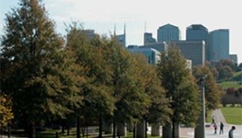 Tree Canopy Assessment and Urban Tree Inventory