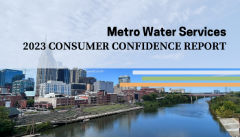 decorative: MWS Consumer Confidence Report