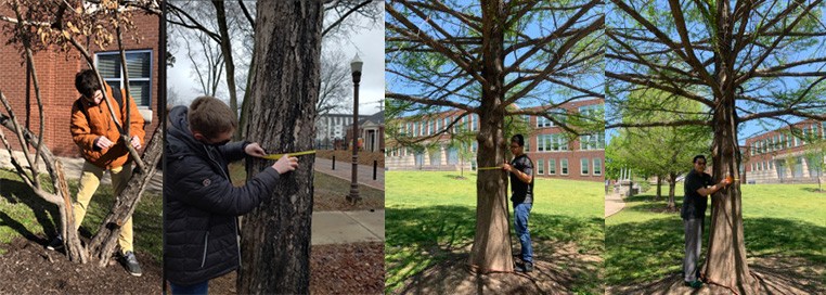 School for Science and Math at Vanderbilt students measuring trees’ diameters