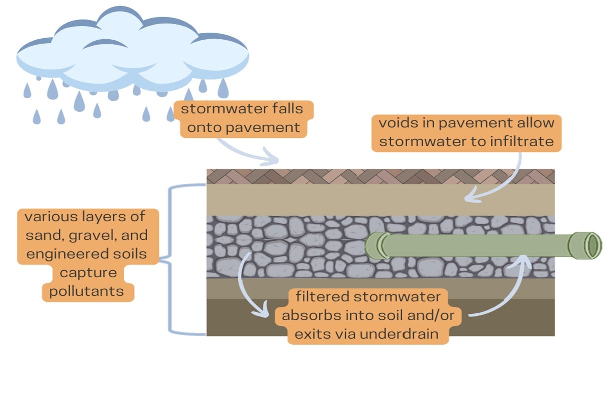 Graphic showing how permeable pavement works. Pavement allows rain water to drain through it. Under the pavement, there are layers of various size of special soils that filter pollutants out of stormwater. An underdrain is under the layers of soil and allows water to flow to the stormwater system.