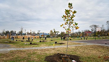 Green Infrastructure
