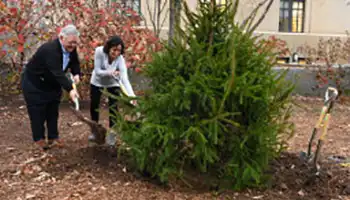 Stormwater Infrastructure