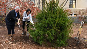 Stormwater Infrastructure