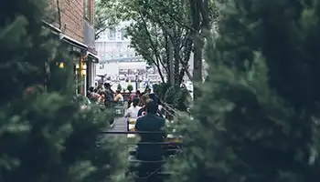 Trees in the Public Right of Way