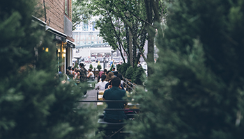 Trees in the Public Right of Way