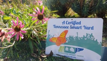 Garden with flowers and Certified Tennessee Smart Yard Sign displayed with an orange butterfly and the Tennessee Smart Yard logo.