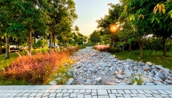  a pathway in a park with trees and rocks