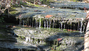 close up of water flowing in Beaman Creek