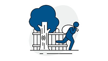 Theft from a Residential Yard