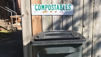 Learn about Compost Drop-Off and Commercial Composting Services
