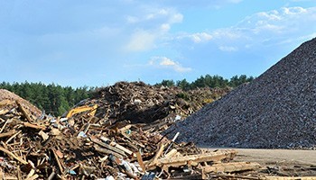 Practice Proper Disposal