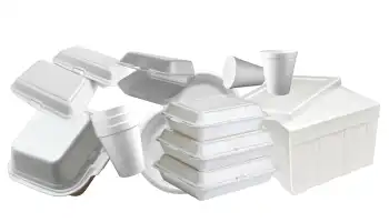 examples of foodservice foam and packaging foam