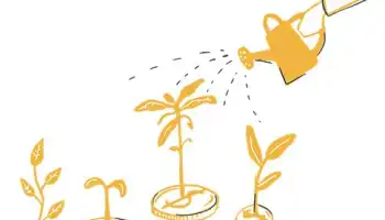 person watering plants