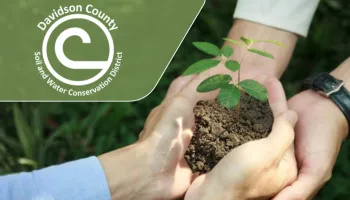 Hands holding a seedling with soil and green leaves against a natural outdoor background.