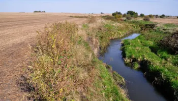 A winding blue stream curves through green vegetation alongside a harvested brown field under clear sky.