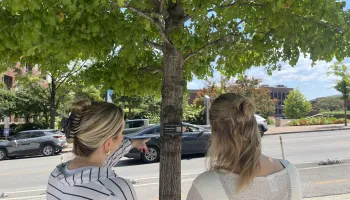 Two people pointing at a tree
