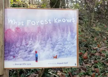 The beginning of the StoryWalk trail