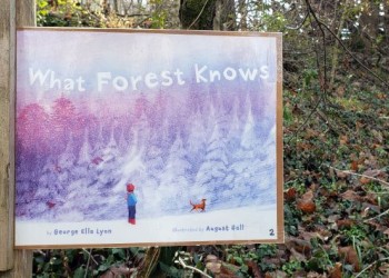 The beginning of the StoryWalk trail