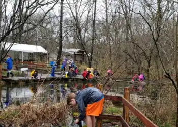 Teaching Pond at Warner Park Nature Center