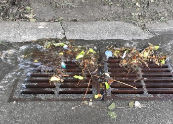 storm drain partially covered with leaves and trash preventing proper water flow