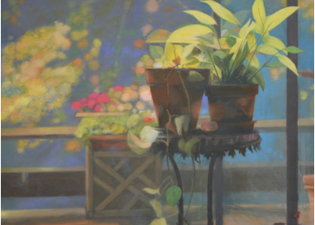 Potted plant sitting on a small table with more potted plants in the background.