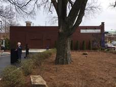 Belmont University President speaking next to tree that was saved during construction