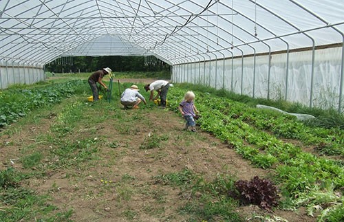 three adults and child working in Environmental Quality Improvement Program