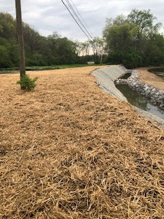 Mansker Creek, after