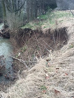 Whites Creek, before