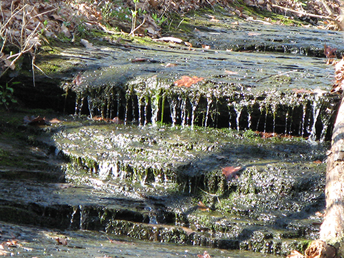 Water cascading down creek at Beaman Park