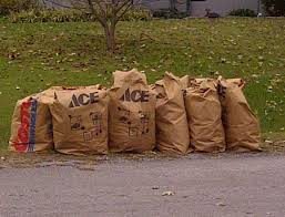Yard waste in paper biodegradable bags by the curb for collection.