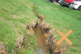 Grassy Swales Improperly Maintained