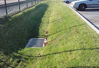 Grassy Swales Properly Maintained