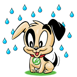 Socket's mascot dog surrounded by raindrops