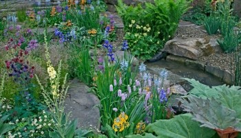 a garden filled with colorful flowers and plants