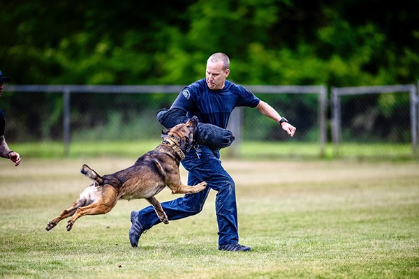 Police Animal Operations canine training