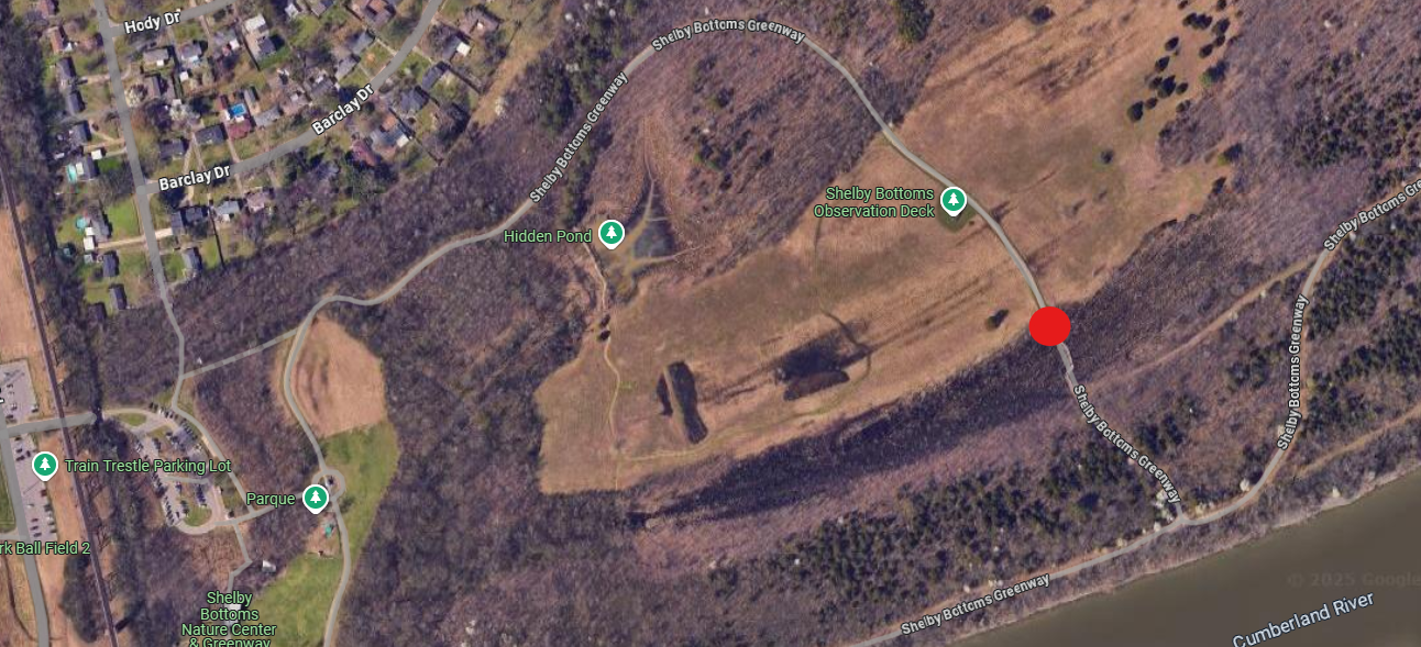 The boardwalk near the observation deck on the Shelby Bottoms Greenway is closed for repairs. The boardwalk is located about 0.50 miles near the wetland area of the park. 