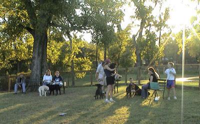 people and dogs in Shelby Dog Park
