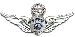 Wings Badge