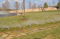 Photo of Wasioto Park Scoops feature