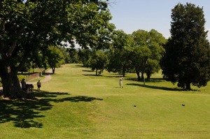 Photo of Harpeth Hills golf course