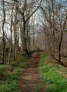Photo of hiking trail at Warner Park