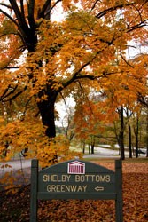 photo of Fall foliage with sign near bottom that reads "Shelby Bottoms Greenway"