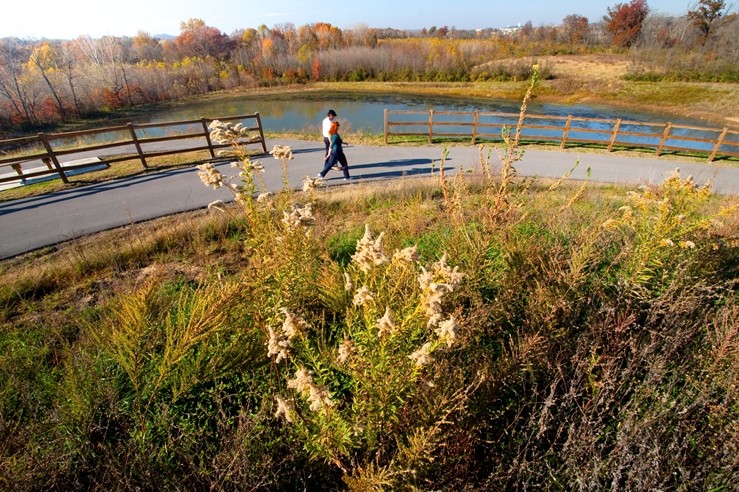Hiking in Shelby Bottoms