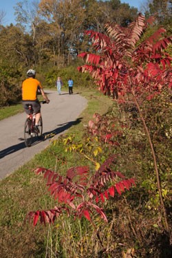 Shelby Bottoms Biking