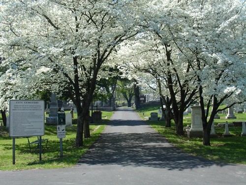 Cemetery With Trees