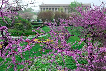 Centennial Park Sunken Garden