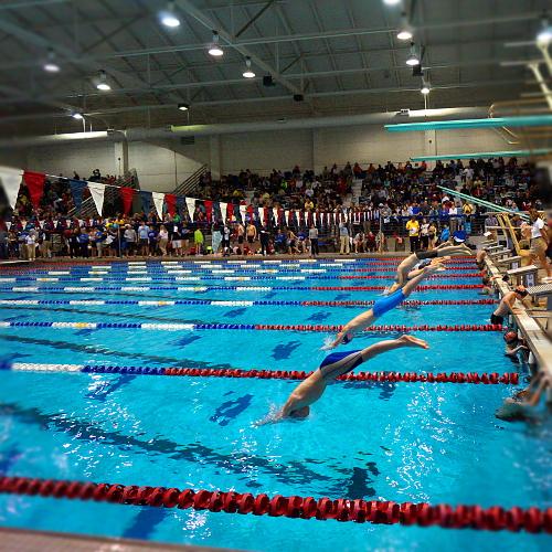 Competitive Swimming - Stock