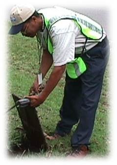 Employee Uniform 1 - vest and navy pants