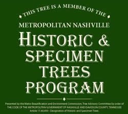 Historic Tree Sign Sample